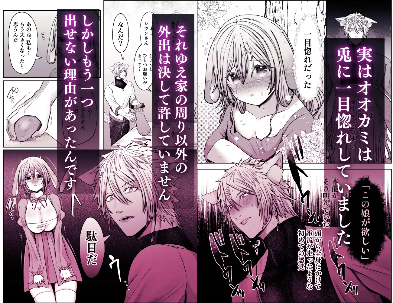 劣情狼と発情うさぎ ─治療という名の強○孕ませセックス─
