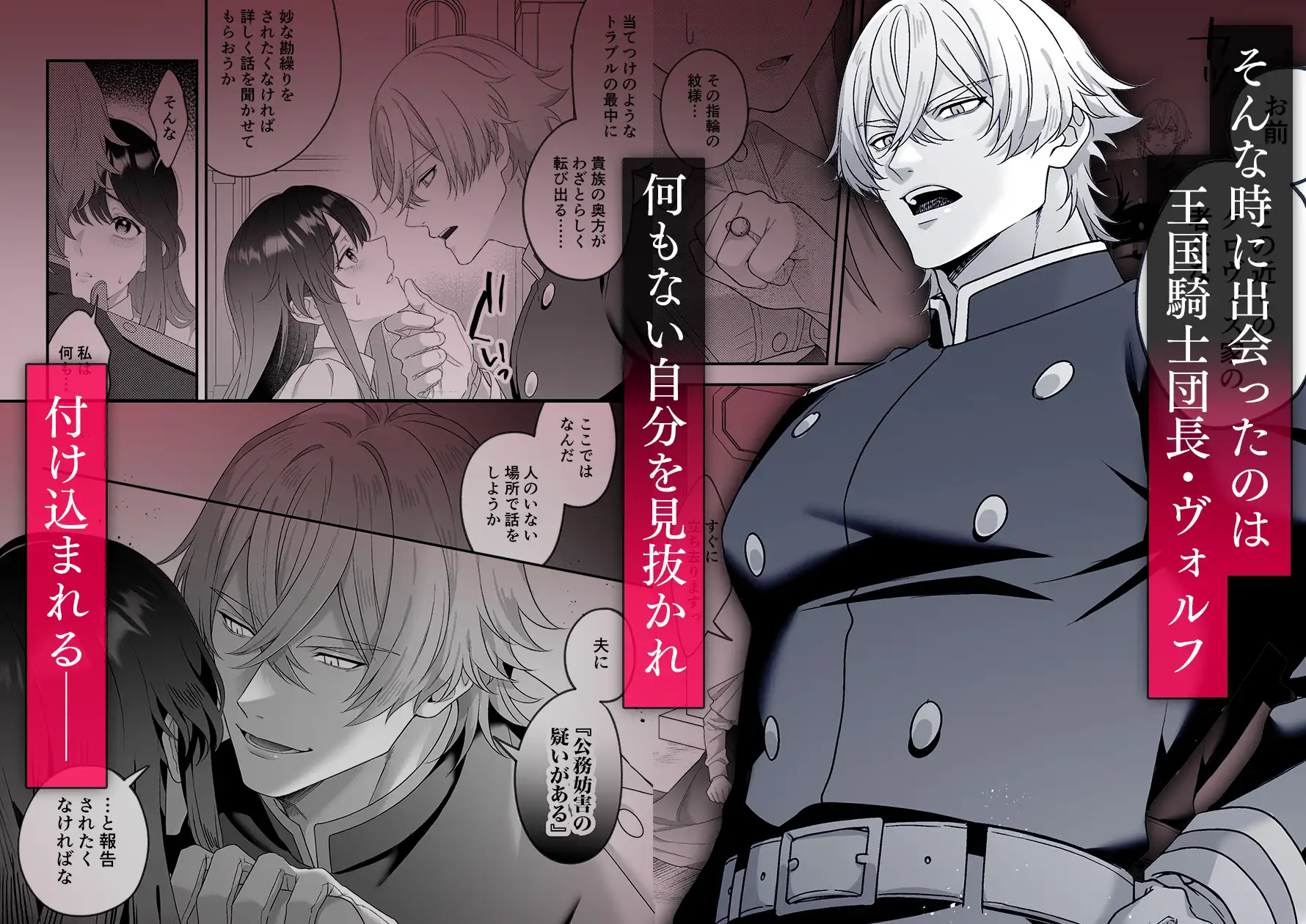 最強騎士団長体格差NTR～何も知らない貴族の人妻は俺様筋肉交尾に抗えず、身体中を芯まで塗り潰される