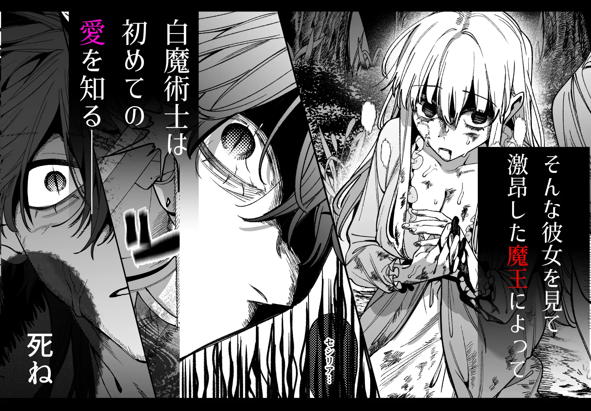 ずたぼろ白魔術師、天然魔王さまの愛玩ペットに堕ちる